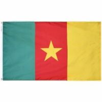 Nylon Cameroon Flag
