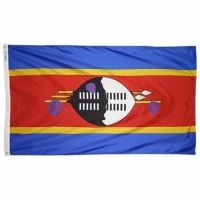 Nylon Swaziland Flag