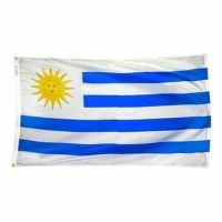 Nylon Uruguay Flag