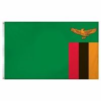 Nylon Zambia Flag