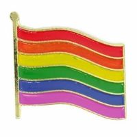 Rainbow Flag / Gay Pride Pin