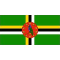 Nylon Dominica Flag