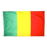 Nylon Mali Flag