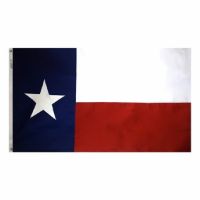 Outdoor Texas Flag 