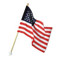 5' Economy US Flag Set