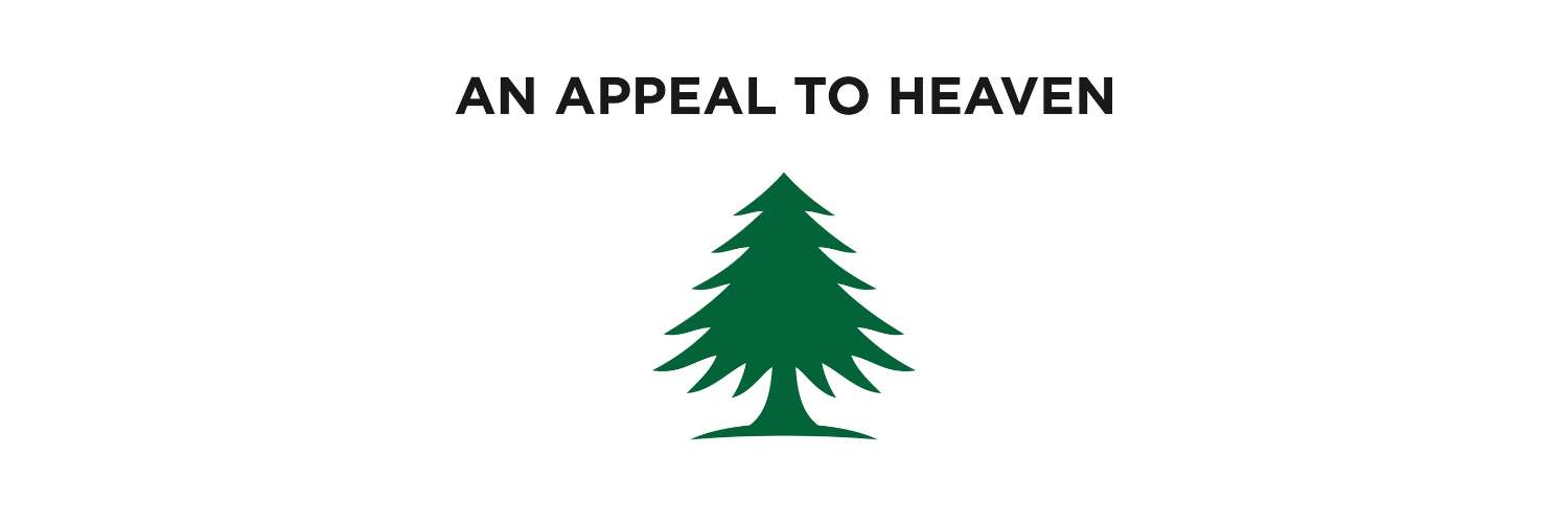 An Appeal to Heave Flag Design